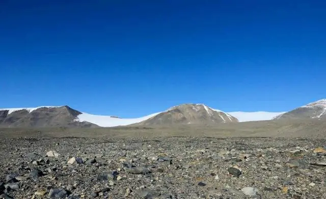 В засушливых долинах Антарктики появились первые признаки сдвигов почвы, вызванных изменением климата
