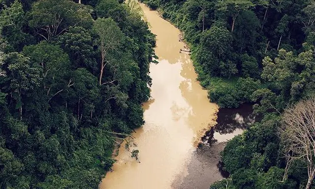 Горячая точка биоразнообразия Амазонки понесет еще большие потери после принятия спорного закона