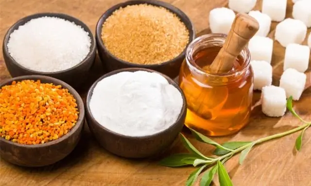 Какой вид наиболее приспособлен для жизни? У всех равные шансы, говорят ученые: Слоны и гигантские секвойи не имеют преимущества перед водорослями и бактериями