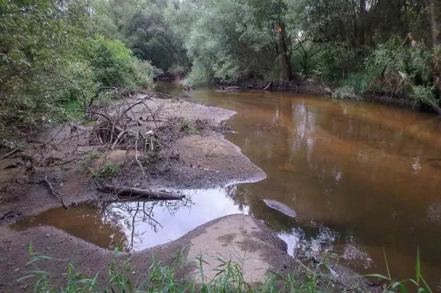 Изменение климата приводит к разрушению морских пищевых сетей