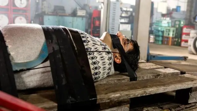 Между строк: кольца деревьев хранят подсказки о прошлом реки