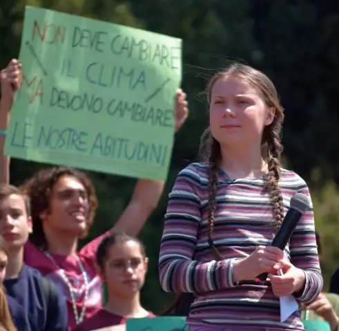 Семь новых видов пауков из Бразилии, названных в честь семи известных вымышленных персонажей-пауков
