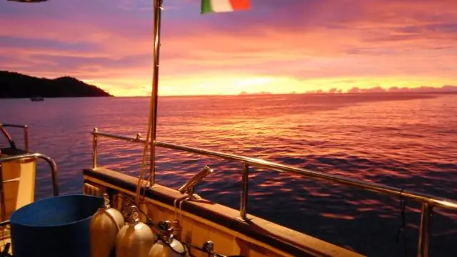 Размер тела морского планктона, течения являются ключом к расселению в океане