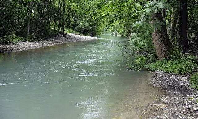 Резкое сокращение генетического разнообразия северо-западного лосося: первый взгляд на древнюю ДНК добавляет «историю» к четырем аспектам управления рыболовством