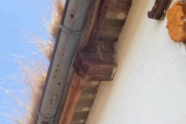 Биологи создают набор инструментов для настройки генетических цепей: библиотека промоторов генов позволяет точно настроить генетические входы и выходы