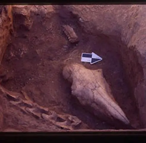 История человечества не требует переписывания: Дело Унтермассфельда