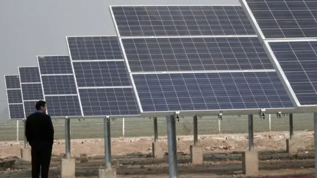 Затерянные леса Европы: за 6000 лет их площадь сократилась вдвое