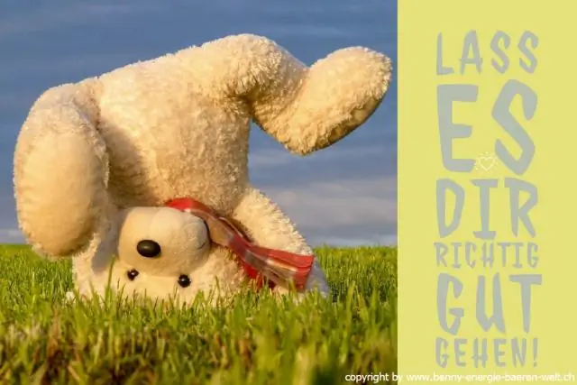 Отличный скат! Медведи, а не птицы, являются главными распространителями семян на Аляске