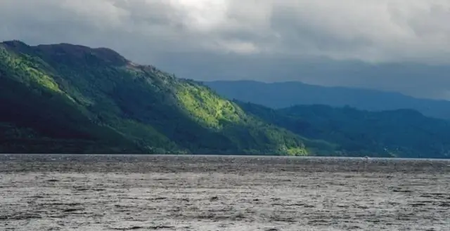 Результаты древней ДНК положили конец загадке 4000-летней египетской мумии