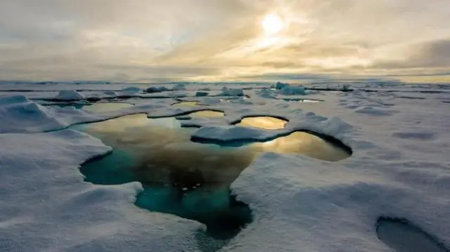 Погодные аномалии ускоряют таяние морского льда