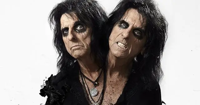 Креветки-богомолы оценивают друг друга, прежде чем уступить бой: спарринги помогают креветкам-богомолам читать своих соперников