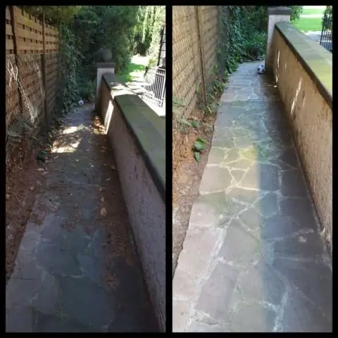 Чистый и зеленый: мох, удаляющий свинец (Pb) из воды