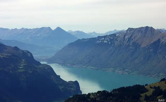 Гибридизация может привести к различным комбинациям геномов