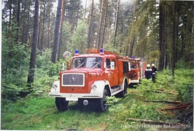 Послепожарные рубки вредят пятнистым совам