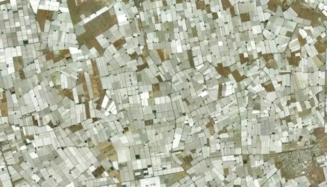 Вирусы повсюду, может быть, даже в космосе