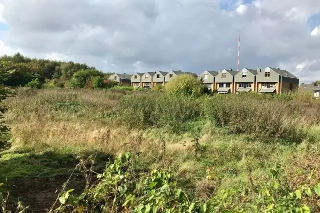 Может ли чрезмерное общение отнять у вас годы жизни?