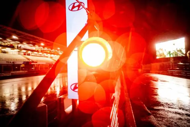 Гонка против сосны: оса-древоточец в Северной Америке, которой угрожает евразийский захватчик