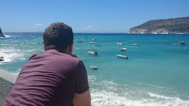 Спорадическое гнездование головоногих морских черепах может иметь определяющее значение для будущего этого вида в Средиземноморье