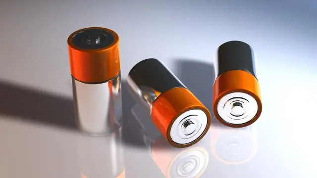 Сохранение ключевых ветвей древа жизни акул и скатов: новое исследование определяет приоритеты сохранения на основе истории эволюции и биогеографии