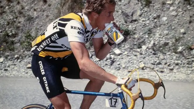 Улучшенная эволюция: ученые обнаружили, что генетический обмен меняет физическое выражение