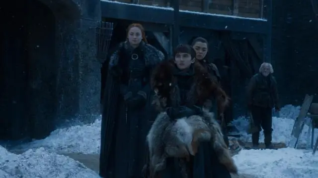 Бактериальная «Игра престолов»: понимание бактериальных варгеймов внутри нашего тела