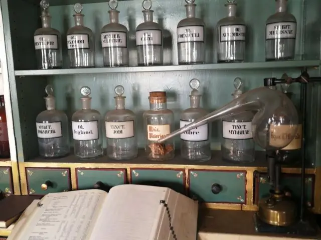 Думайте о пчелах как о «домашнем скоте», а не о дикой природе, утверждают эксперты