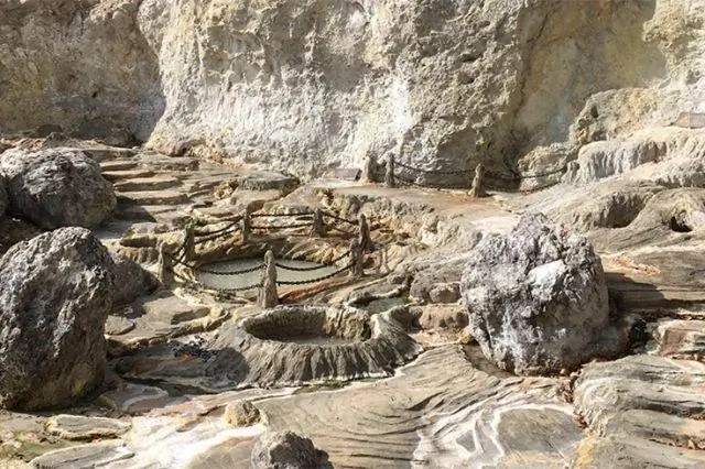 Как микробы появились из горячих источников, чтобы завоевать раннюю Землю: обмен ДНК