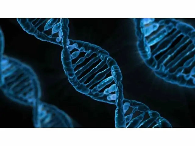 Геном колорадского жука дает представление об основных сельскохозяйственных вредителях