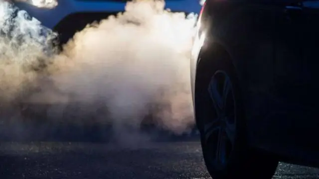 Прибрежные воды поглощают больше углекислого газа: результаты могут помочь ученым понять, сколько углекислого газа может быть выпущено, но при этом ограничить глобальное потепление