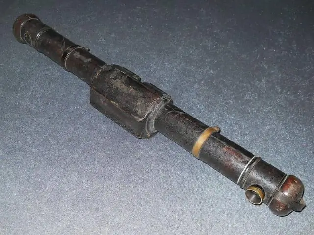 Редкий ихтиозавр - лишь второй известный пример