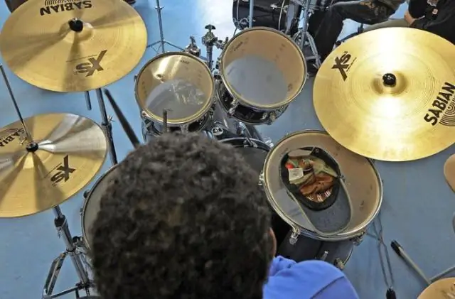 Медленно, но верно: новое исследование проливает свет на эволюцию мозга черепах