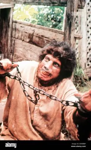 Магний образует хромосомы: новый химический инструмент MARIO показывает, как свободные ионы Mg2+ регулируют форму хромосом