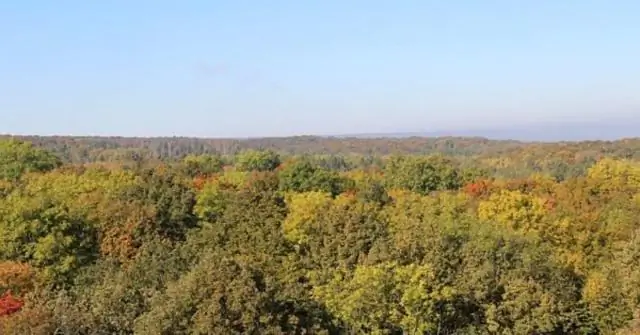 Измерение молекулярных взаимодействий: взаимодействие белок-метаболит