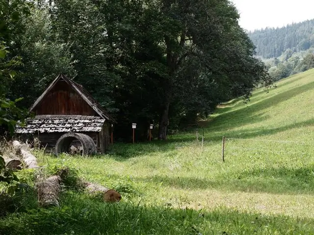 Радиоуглеродный анализ показывает, что массовое захоронение датируется эпохой викингов