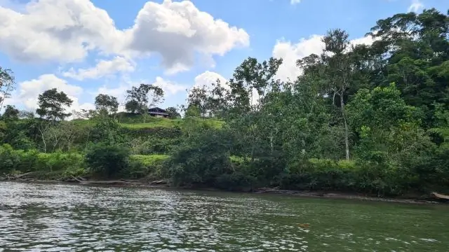 Эквадор: обезлесение уничтожает больше сухих лесов, чем изменение климата: исследование сравнивает потери сухих лесов из-за изменений в землепользовании или глобального потепления