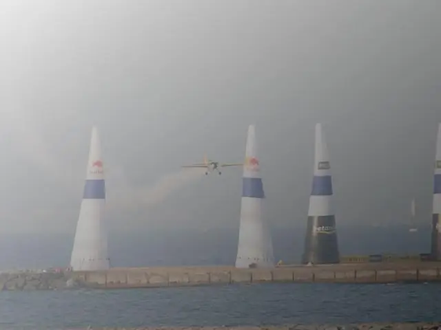 Новое исследование проливает свет на темную сторону самой прибыльной торговли морепродуктами в Гонконге