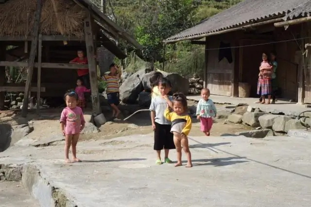 Вещества, используемые в бытовых товарах, влияют на иммунную систему прибрежной мидии