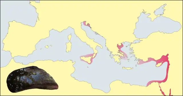 Новые вторжения инопланетных видов продолжают расти во всем мире