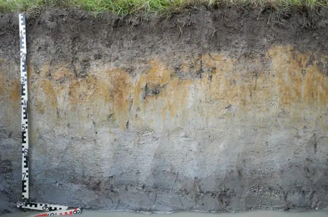 Характеристики почвы могут быть связаны с сохранением хронического истощения, показало исследование