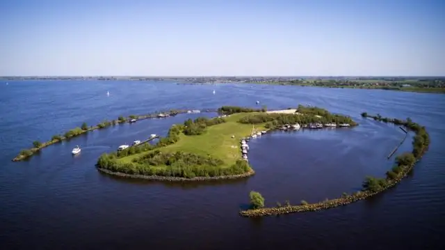 Изумрудный ясеневый буравчик: как большие и малые города могут подготовиться к вторжению: план борьбы с пеплом в Пенсильвании предлагает пример для подражания