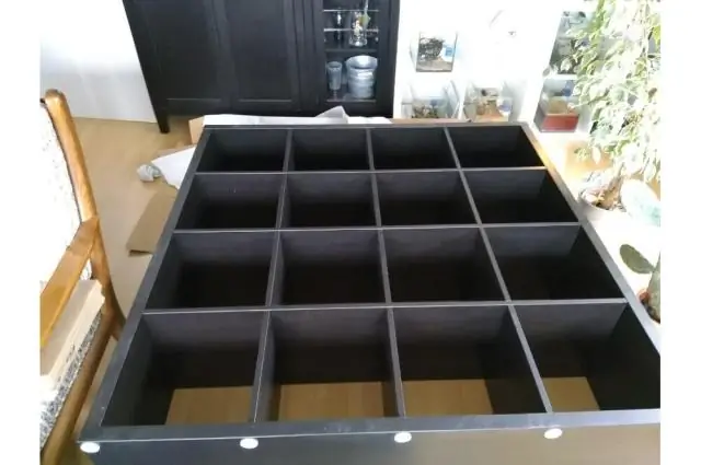 Новый свет проливает свет на антибиотики, вырабатываемые муравьями