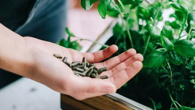 Фосфориты – эффективное удобрение в Кении