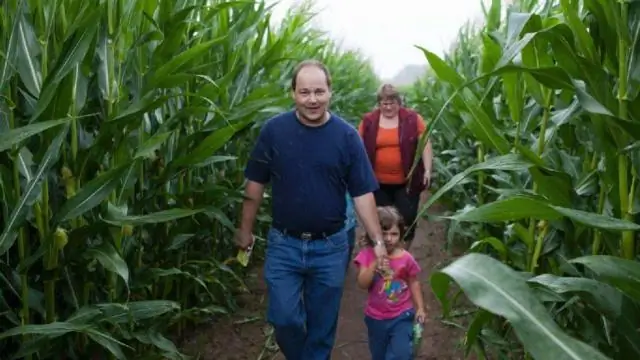 Лучшее знание эволюции ведет к большему принятию концепции