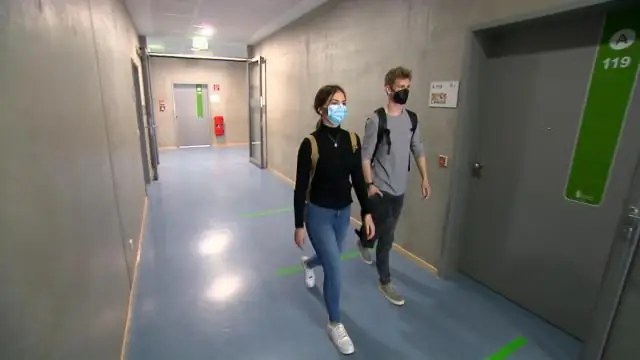 Жизнь в большой группе повышает интеллект сороки