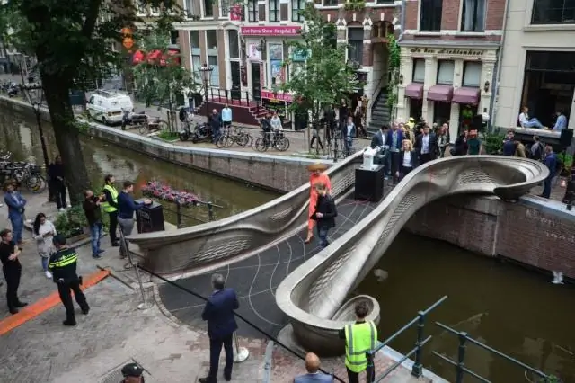 Новое исследование раскрывает удивительную растительность в китайских пещерах