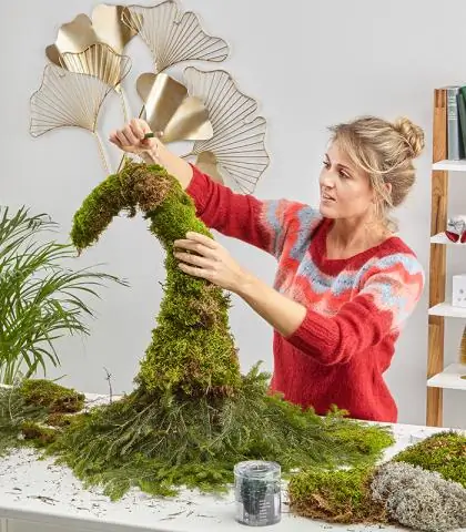 Когда дело доходит до генов, лишайники используют экономику совместного потребления