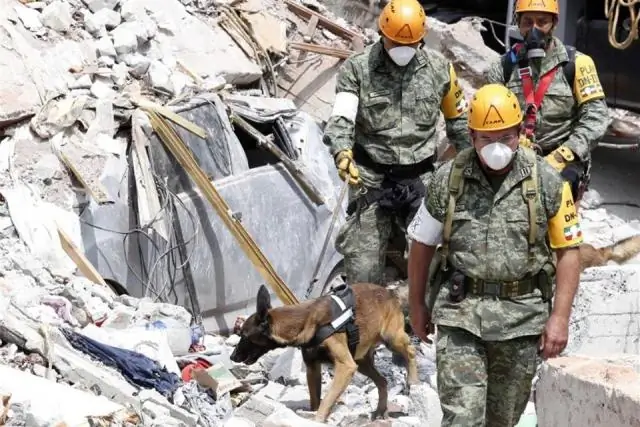 Моделирование землетрясения в разломе Хейворд в Калифорнии: суперкомпьютерное моделирование помогает показать более реалистичные движения