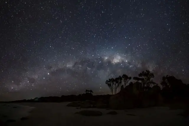 Исследования стволовых клеток дают надежду тасманским дьяволам со смертельным заразным раком