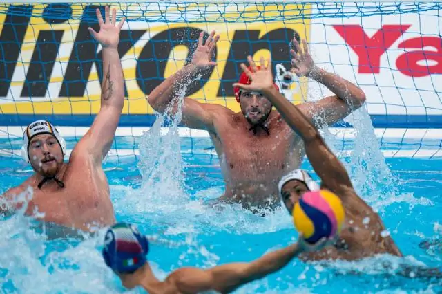 Социоэкологическая сеть находит место для крупного рогатого скота, рыбы и людей на западе больших гор