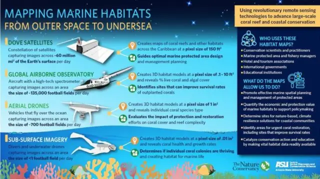 Инновационное восстановление коралловых рифов помогает защитить Карибские острова
